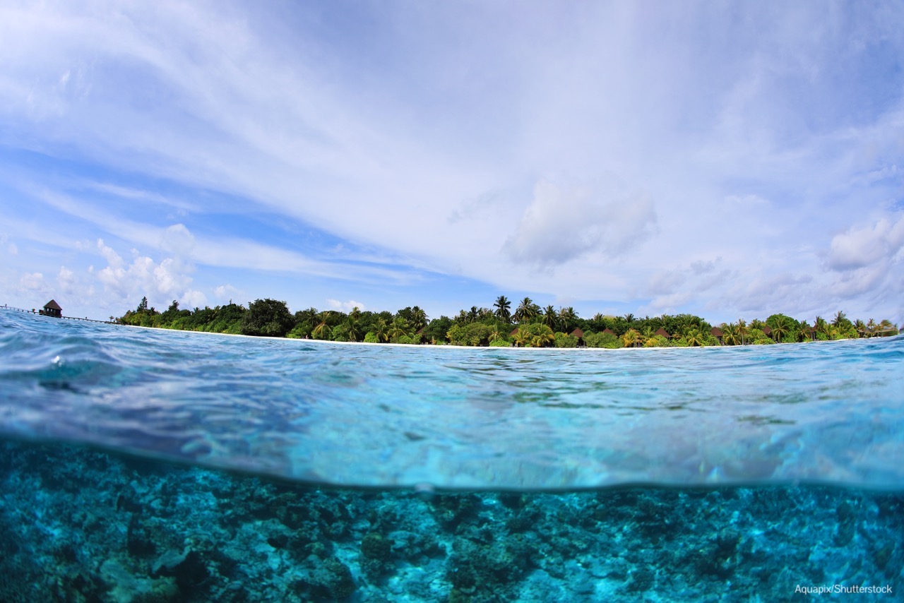 Our World Image 14